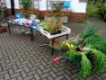 /album/hook-in-bloom-table-top-sales-2014/dsc-0529-jpg/